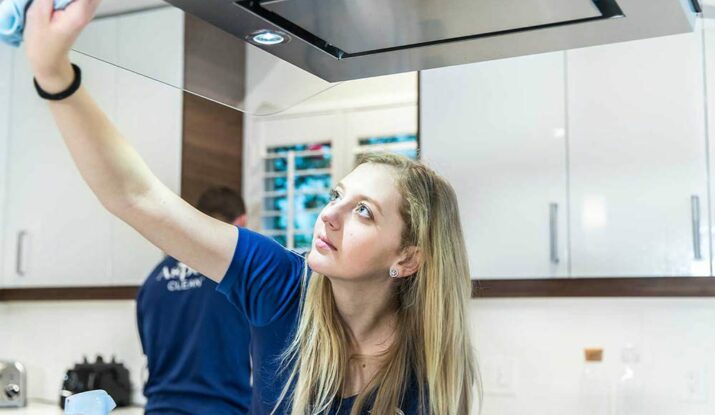 House Sanitizing Services
