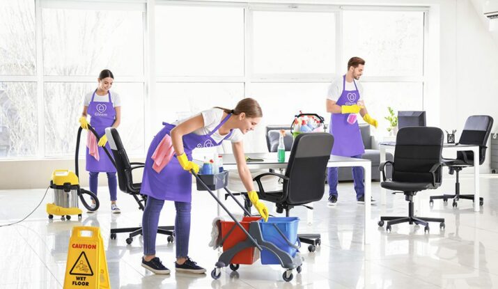 Pest Control And Cleaning Services Dubai