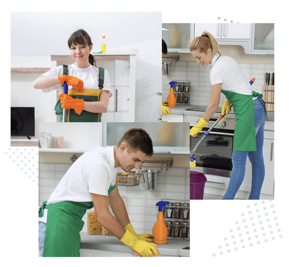 Mold Remediation Services in Dubai