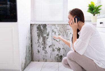 Mold Growth in Your Dubai Villa