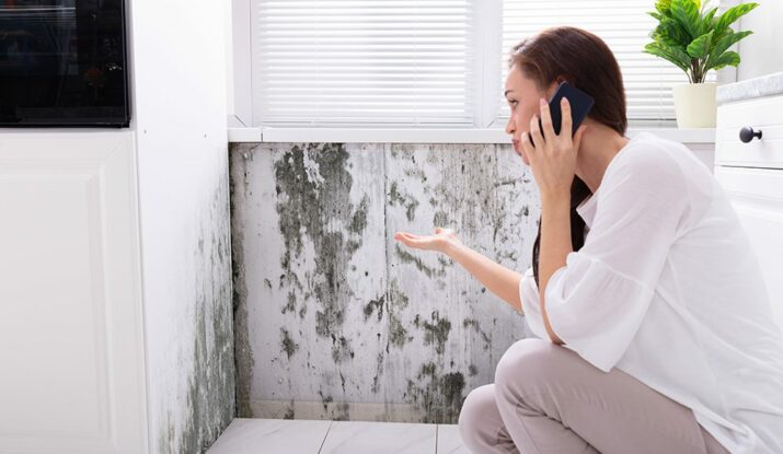 Mold Growth in Your Dubai Villa
