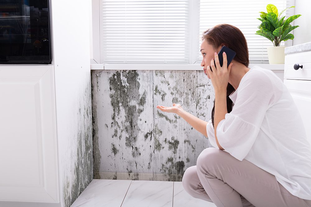Mold Growth in Your Dubai Villa