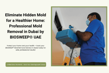 Eliminate Hidden Mold for a Healthier Home